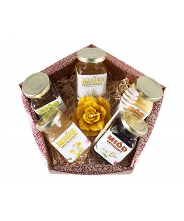 Zestaw miodów 5 x 250g + świeca